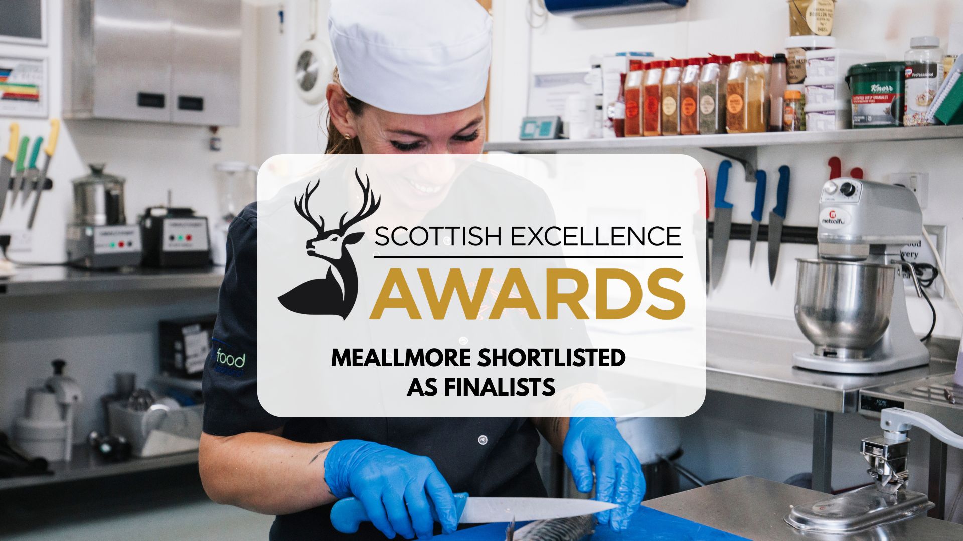 Meallmore Finalist at 2026 Scottish Excellence Awards